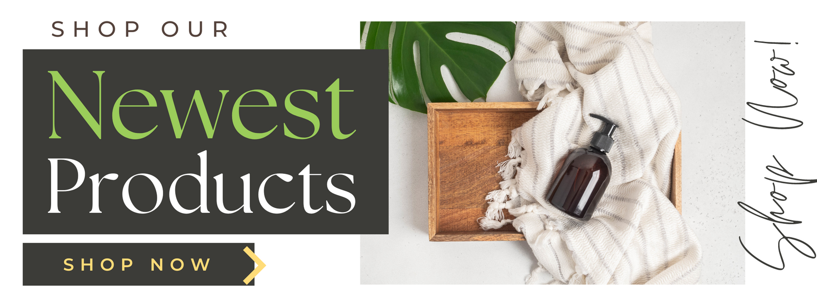 Shop our Newest Products