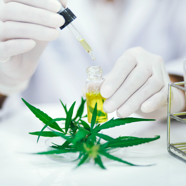 Medical Marijuana